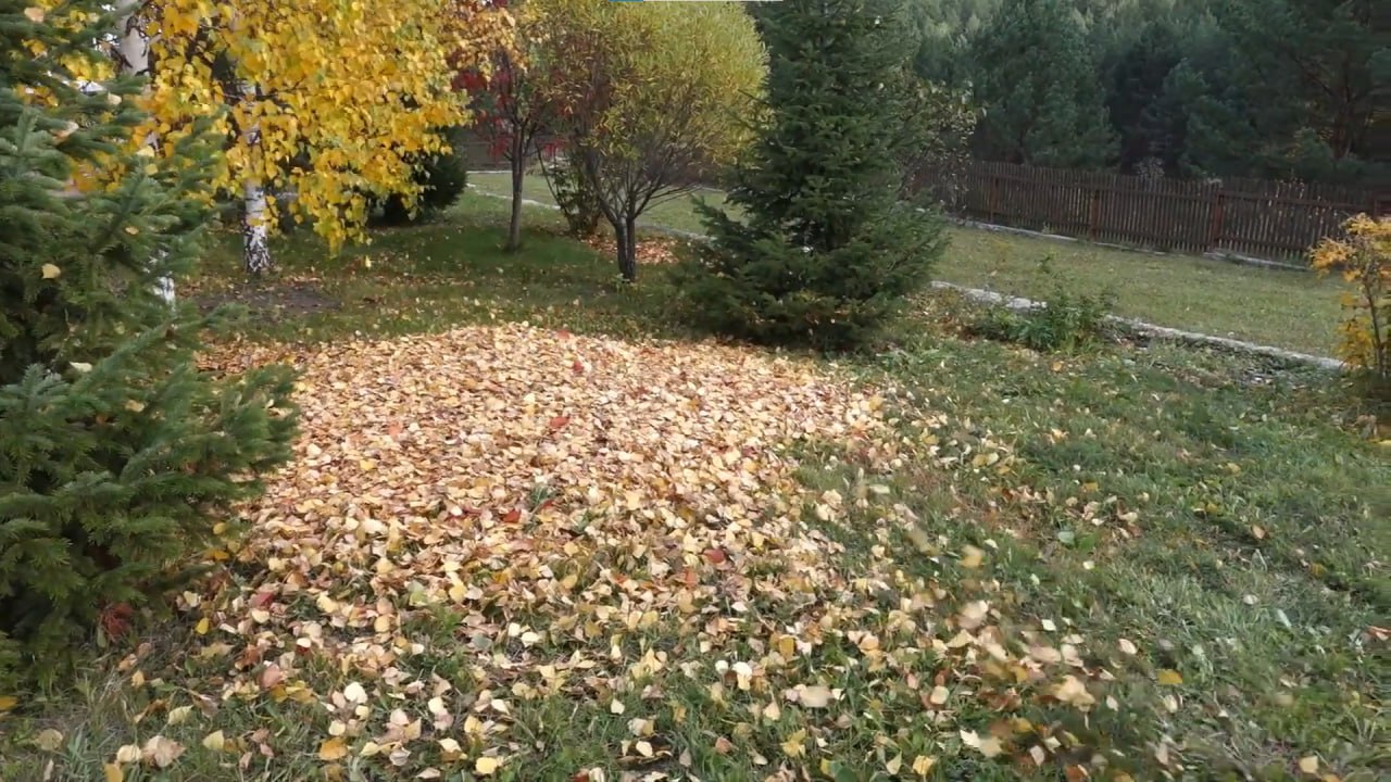 https://balakovo.mslandshaft.ru/storage/app/uploads/public/642/ac5/f22/642ac5f2293e2935715739.jpg